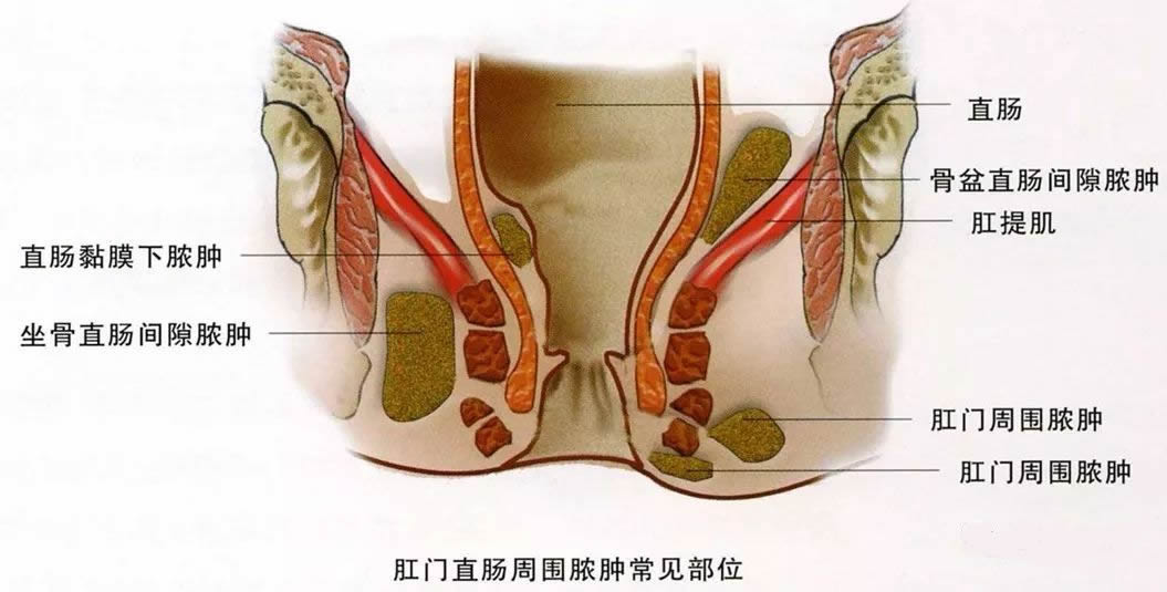 微信图片_20220425094525.jpg